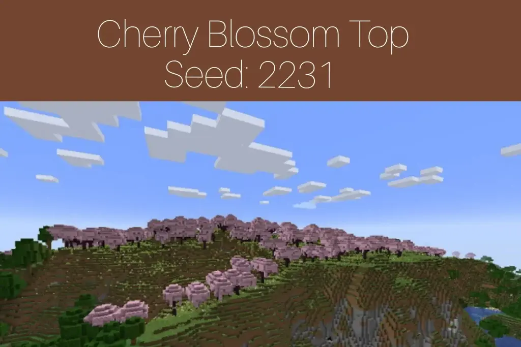 cherry 2 1